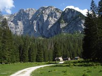 auf der Alm